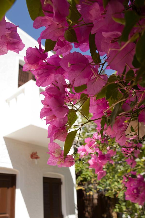 Albatross Hotel Livadi  Exterior foto